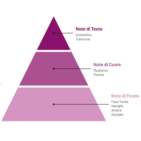 Compagnia delle Indie geurstokjes piramide met top-, hart-, en basisnoten, pioenroos en amber.