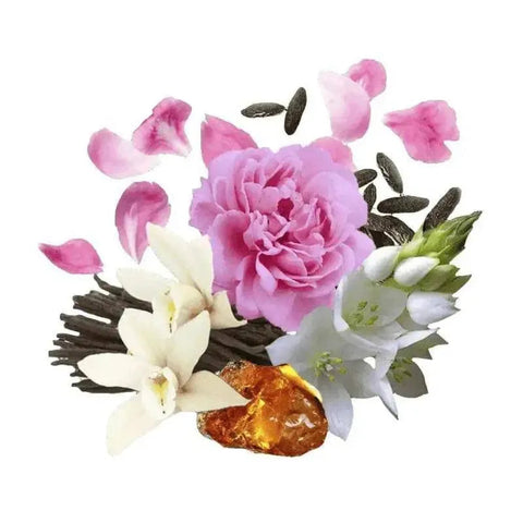 Compagnia delle Indie bodycreme pioenroos en amber (nr13)Hemelse-geuren.nlCompagnia delle Indie bodycreme pioenroos en amber nr13