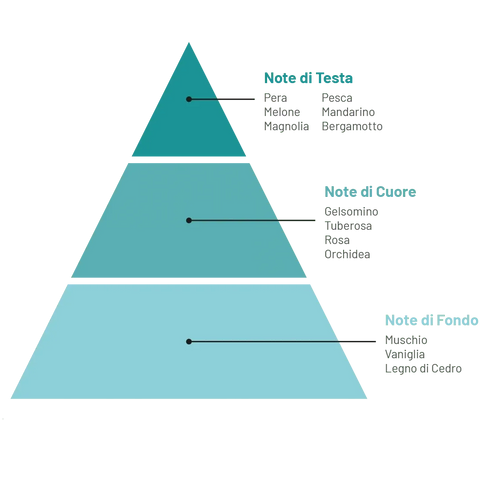 Compagnia delle Indie scent pyramid showing floral, woody, and spicy notes.