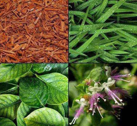 Tesori d'Oriente bad en douchecreme kashmir sandalwood vetiverHemelse-geuren.nl'Oriente bad en douchecreme kashmir sandalwood vetiver