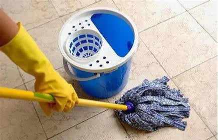 Vloerreiniger - Hemelse-geuren.nl