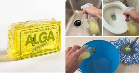 Savon écologique aux algues pour le lavage des mains et en machine