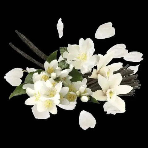 Compagnia delle Indie eau de parfum lelietje-van-dalen & white musk (nHemelse-geuren.nlCompagnia delle Indie eau de parfum lelietje-van-dalen & white musk nr19
