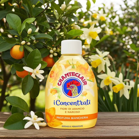 Chante Clair parfum concentré pour le linge orange jonquilles 220 ml