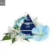 Felce Azzurra douchegel white musk 400ml - Hemelse-geuren.nl