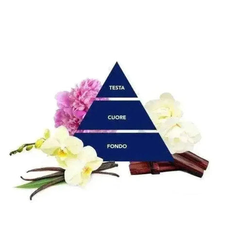 Felce Azzurra geconcentreerde wasverzachter magnolia sandelhout 650ml - Hemelse-geuren.nl