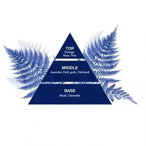 Felce Azzurra Talkpoeder Classico 250g - Verfrissend en Verzachtend - Hemelse-geuren.nl