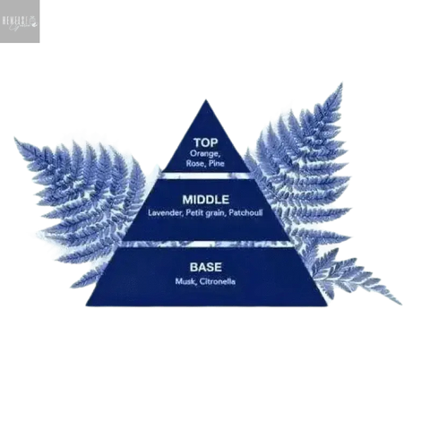 Felce Azzurra Vloeibare handzeep classico 300ml - Hemelse-geuren.nl