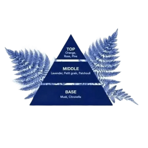 Felce Azzurra Vloeibare handzeep classico 300ml - Hemelse-geuren.nl