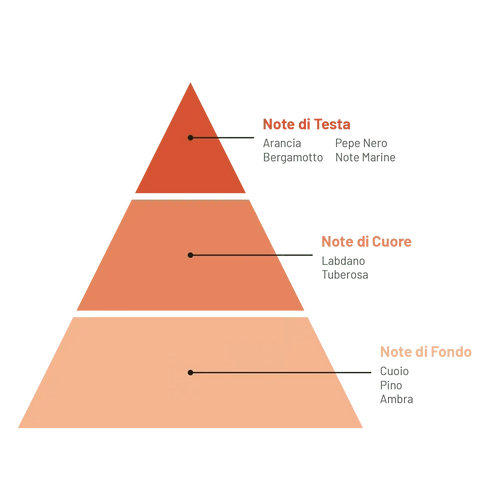 Compagnia delle Indie diffuser fragrance pyramid with notes of bergamot, orange blossom, patchouli, amber, leather, and cedarwood.