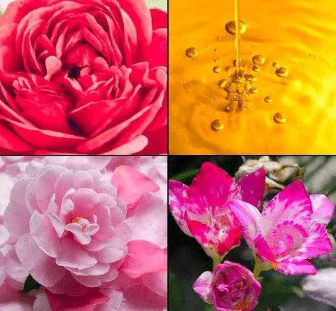 Tesori d'Oriente douchegel Japanese Spa - Hemelse-geuren.nl