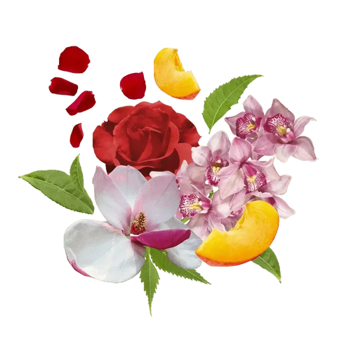 Compagnia delle Indie geurstokjes 1liter nr 11 orchidee en cederhout - Hemelse-geuren.nl