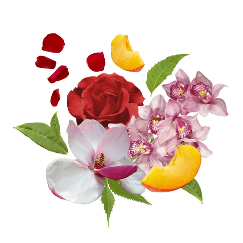 Compagnia delle Indie geurstokjes 1liter nr 11 orchidee en cederhout - Hemelse-geuren.nl