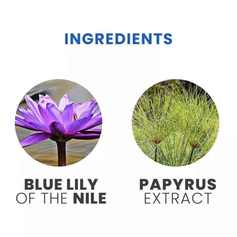 Tesori d'Oriente bad en douchecreme aegyptus 500ml - Hemelse-geuren.nl