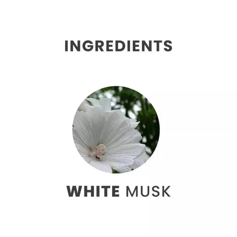 Tesori d'Oriente bodycreme white musk 300ml - Hemelse-geuren.nl