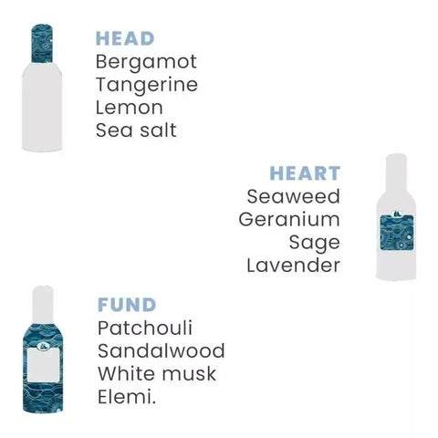 Tesori d'Oriente Parfum Thalasso  100ml - Hemelse-geuren.nl
